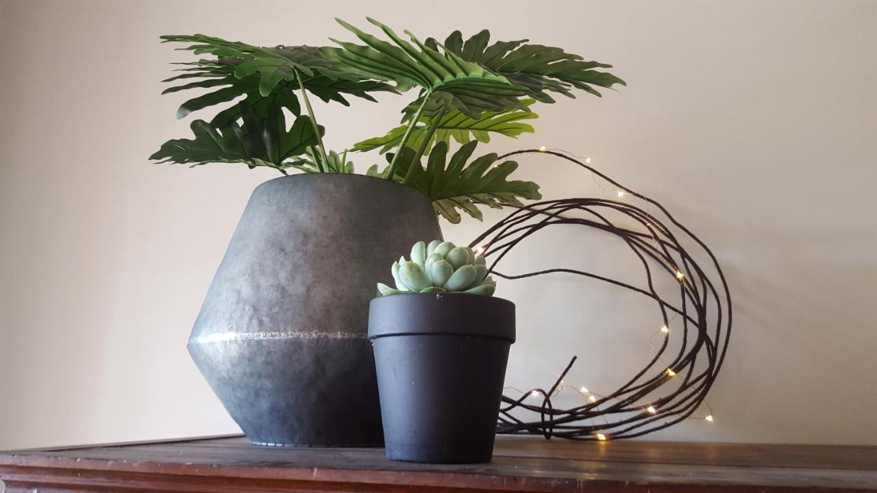 Boutique Heritage Studios On Ryrie Geelong Cbd Opposite Hospital エクステリア 写真